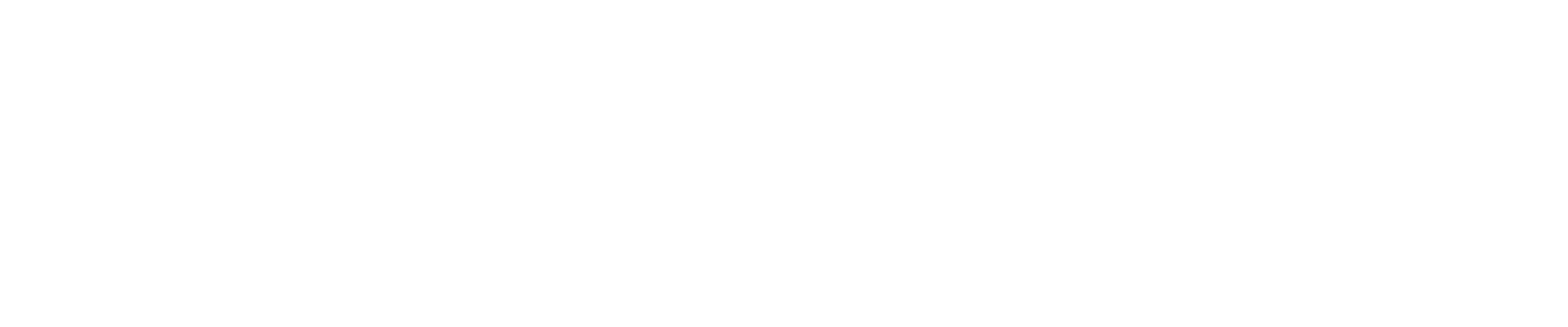 Veebuddy